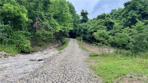 Photo of Marlott Run Road, Newcomerstown, OH 43983 (MLS # 5221603)