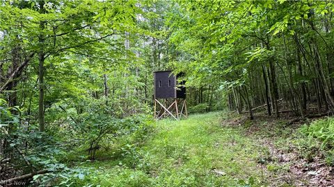 Tiny photo for Marlott Run Road, Newcomerstown, OH 43983 (MLS # 5221603)