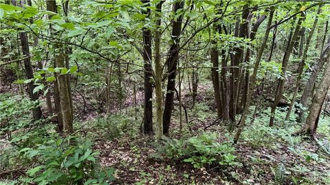 Tiny photo for Marlott Run Road, Newcomerstown, OH 43983 (MLS # 5221603)