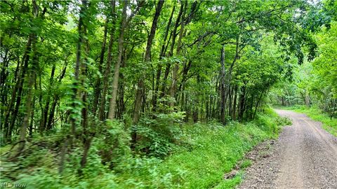 Tiny photo for Marlott Run Road, Newcomerstown, OH 43983 (MLS # 5221603)