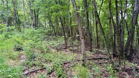 Tiny photo for Marlott Run Road, Newcomerstown, OH 43983 (MLS # 5221603)