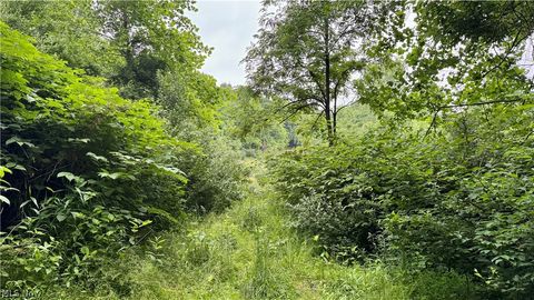 Tiny photo for Marlott Run Road, Newcomerstown, OH 43983 (MLS # 5221603)