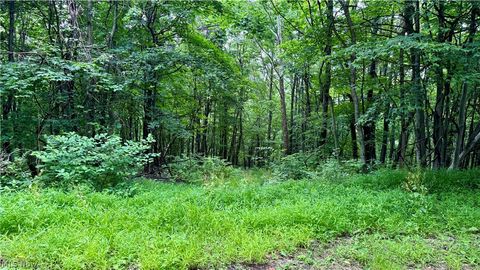 Tiny photo for Marlott Run Road, Newcomerstown, OH 43983 (MLS # 5221603)