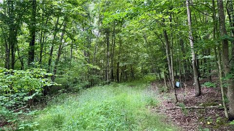 Tiny photo for Marlott Run Road, Newcomerstown, OH 43983 (MLS # 5221603)