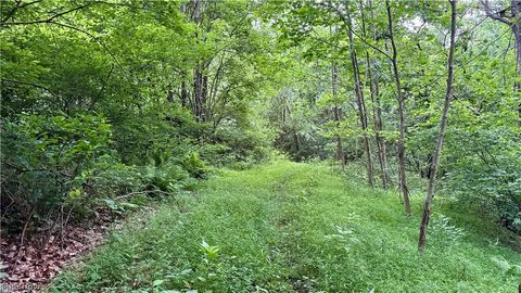 Tiny photo for Marlott Run Road, Newcomerstown, OH 43983 (MLS # 5221603)