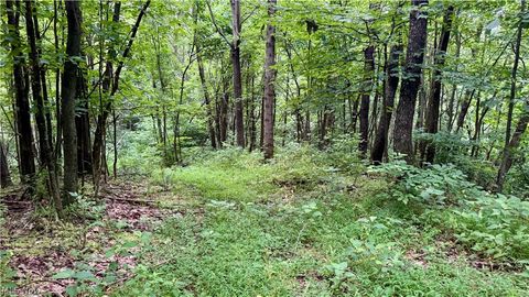 Tiny photo for Marlott Run Road, Newcomerstown, OH 43983 (MLS # 5221603)