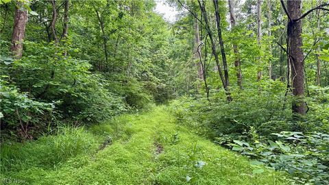 Tiny photo for Marlott Run Road, Newcomerstown, OH 43983 (MLS # 5221603)