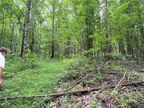 Tiny photo for Marlott Run Road, Newcomerstown, OH 43983 (MLS # 5221603)
