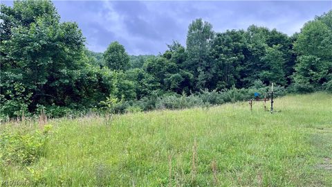 Tiny photo for Marlott Run Road, Newcomerstown, OH 43983 (MLS # 5221603)