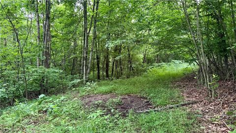 Tiny photo for Marlott Run Road, Newcomerstown, OH 43983 (MLS # 5221603)