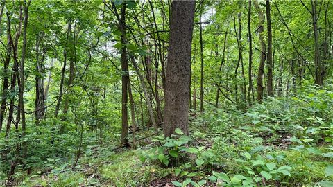 Tiny photo for Marlott Run Road, Newcomerstown, OH 43983 (MLS # 5221603)