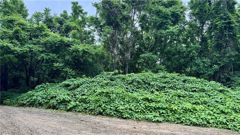 Tiny photo for Marlott Run Road, Newcomerstown, OH 43983 (MLS # 5221603)