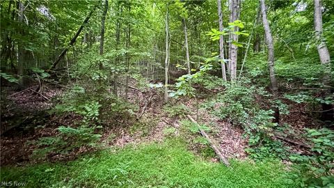 Tiny photo for Marlott Run Road, Newcomerstown, OH 43983 (MLS # 5221603)