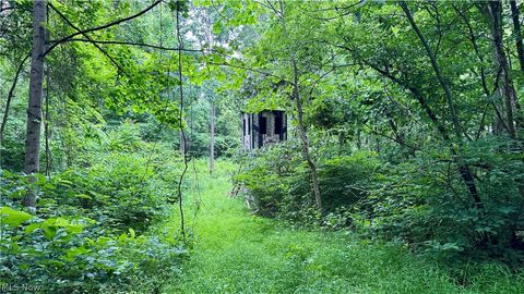 Tiny photo for Marlott Run Road, Newcomerstown, OH 43983 (MLS # 5221603)
