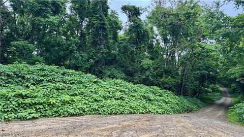 Tiny photo for Marlott Run Road, Newcomerstown, OH 43983 (MLS # 5221603)