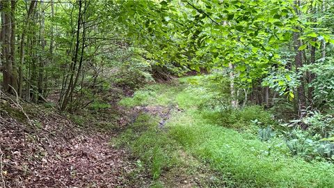 Tiny photo for Marlott Run Road, Newcomerstown, OH 43983 (MLS # 5221603)