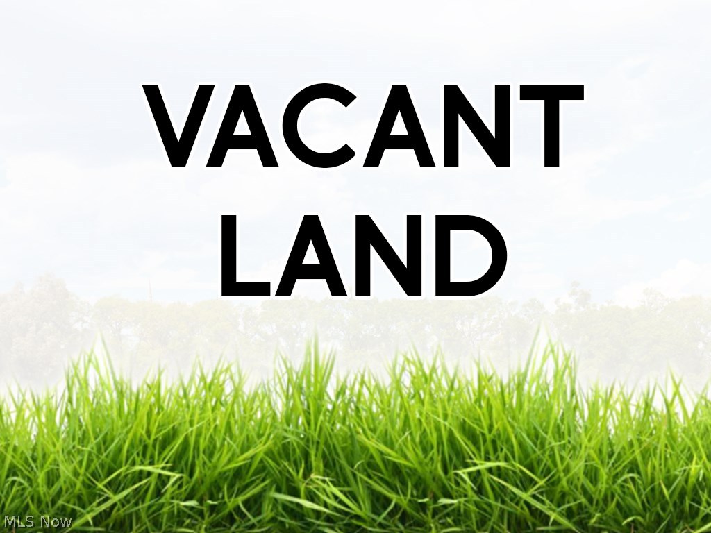 Vineyard Beach - Land