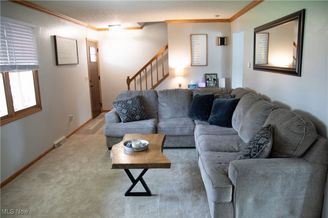 Lincoln Hill Allotment 03 - Residential