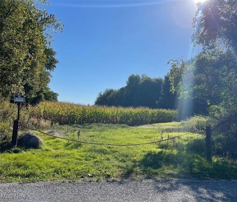 Vacant Land For Sale - Dorman Road<br/> Conneaut, OH 44030