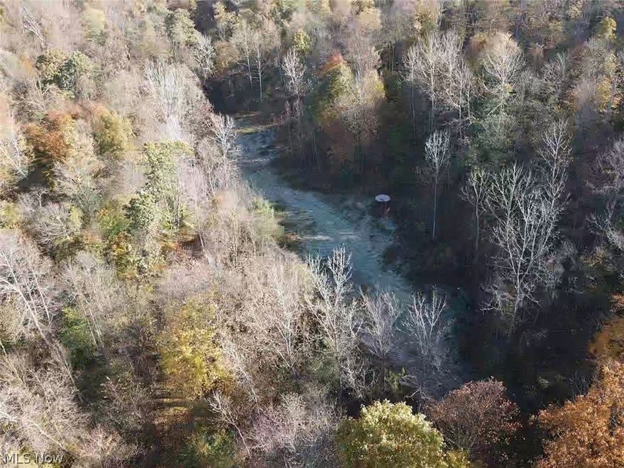 Located a few minutes from Millersburg you will find this great 41.8 acres of hunting and recreational bliss. Once you cruise up the path you will enter a beautiful field that would make a great food plot or a building site. This property also boasts some really nice harvestable timber that could immediately help with your great investment. Buy this property now and get immediate hunting rights with bank approval. Quick access to the killbuck bike trail. Minutes to Millersburg. Its all here, minerals, timber, big bucks. Get ready to be amazed on this one. Its a nice one in a great location.