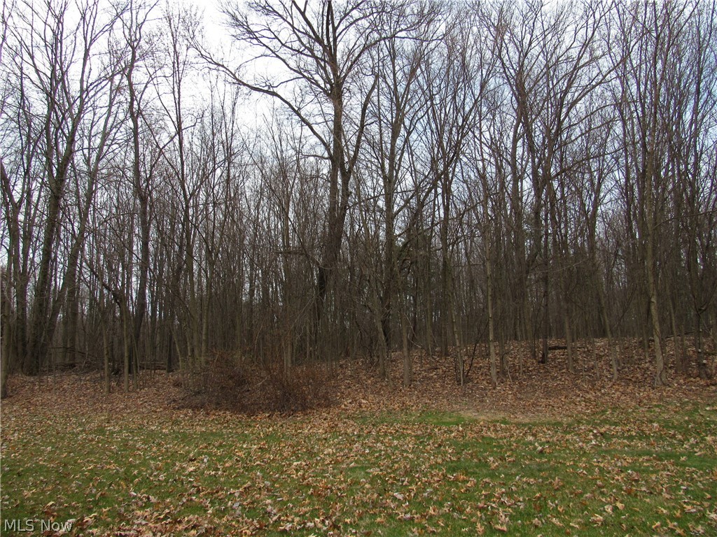 High Pointe/Geauga Condo Ph 08 - Residential