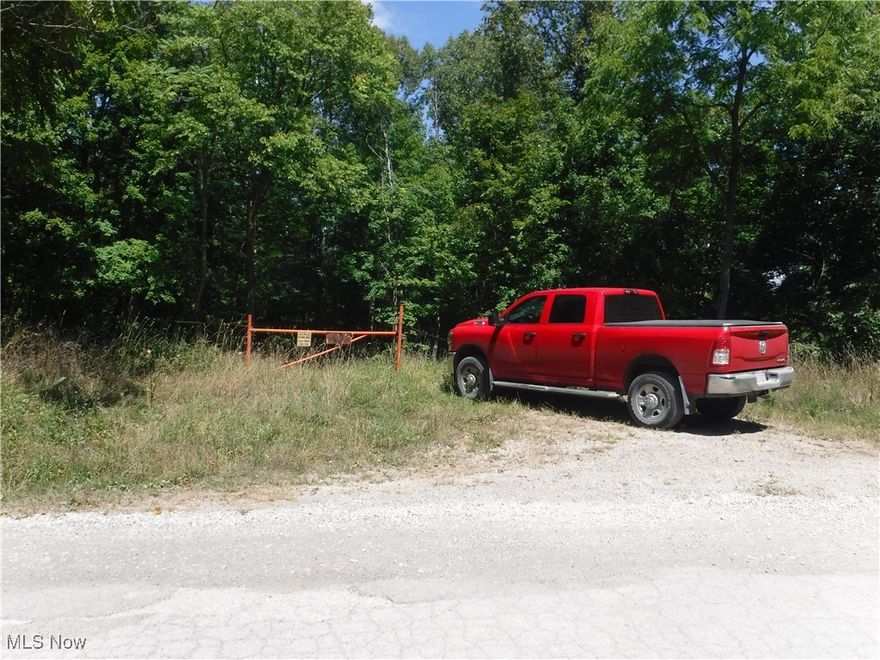 First time offered, +/- 58 acres of vacant AEP land. Mostly wooded that has been selective cut with marketable timber available. Good, solid entrance allows access to almost back of the property.  Possibilities are very nice building sites, great hunting/recreational land and investment property. Large electric line runs diagonally through the woods providing excellent opportunities for multiple food plots and trails. Just minutes from SR 78 and McConnellsville.  Mineral rights transfer with the exception of oil/gas rights which do not transfer.