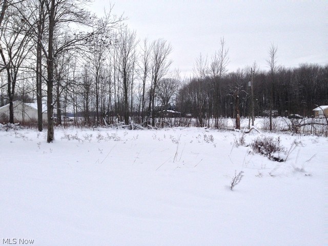 Roaming Rock - Residential