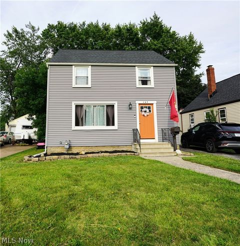 Photo of 167 Brandtson Avenue, Elyria, OH 44035 (MLS # 5221424)