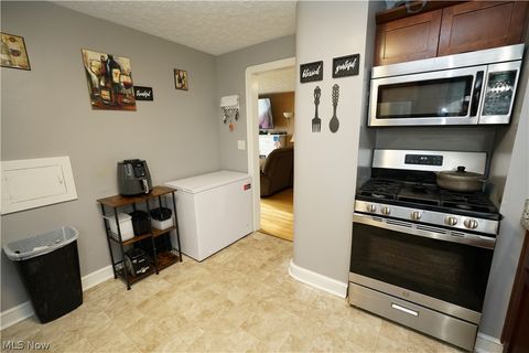 Tiny photo for 167 Brandtson Avenue, Elyria, OH 44035 (MLS # 5221424)