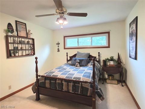 Tiny photo for 5007 Nelson Mosier Road, Southington, OH 44470 (MLS # 5187622)