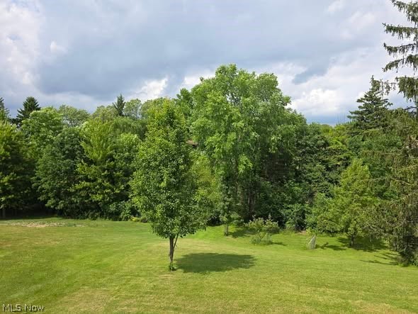 7623 Alan Parkway