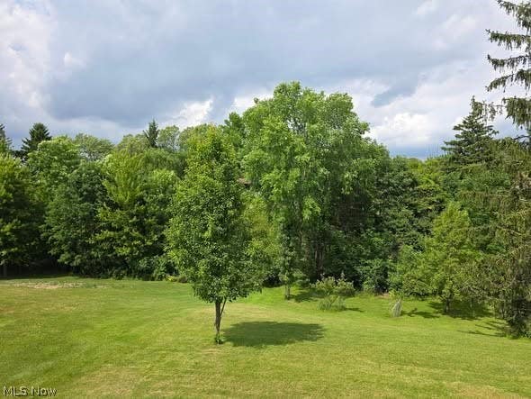 Photo of 7623 Alan Parkway, Middleburg Heights, OH 44130 (MLS # 5217967)