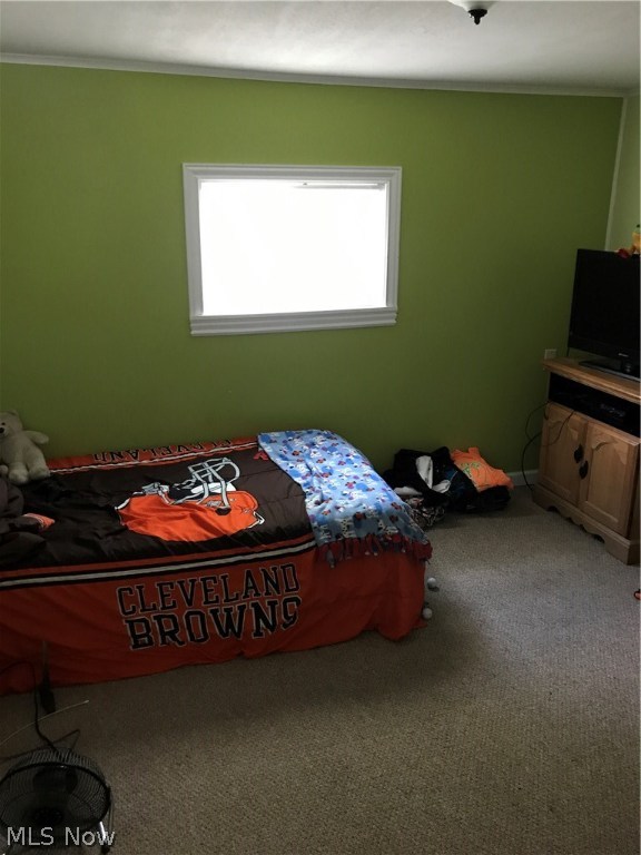 Rose Park Allotment 02 - Residential