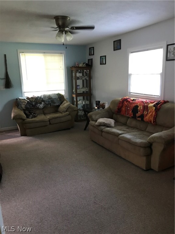 Rose Park Allotment 02 - Residential