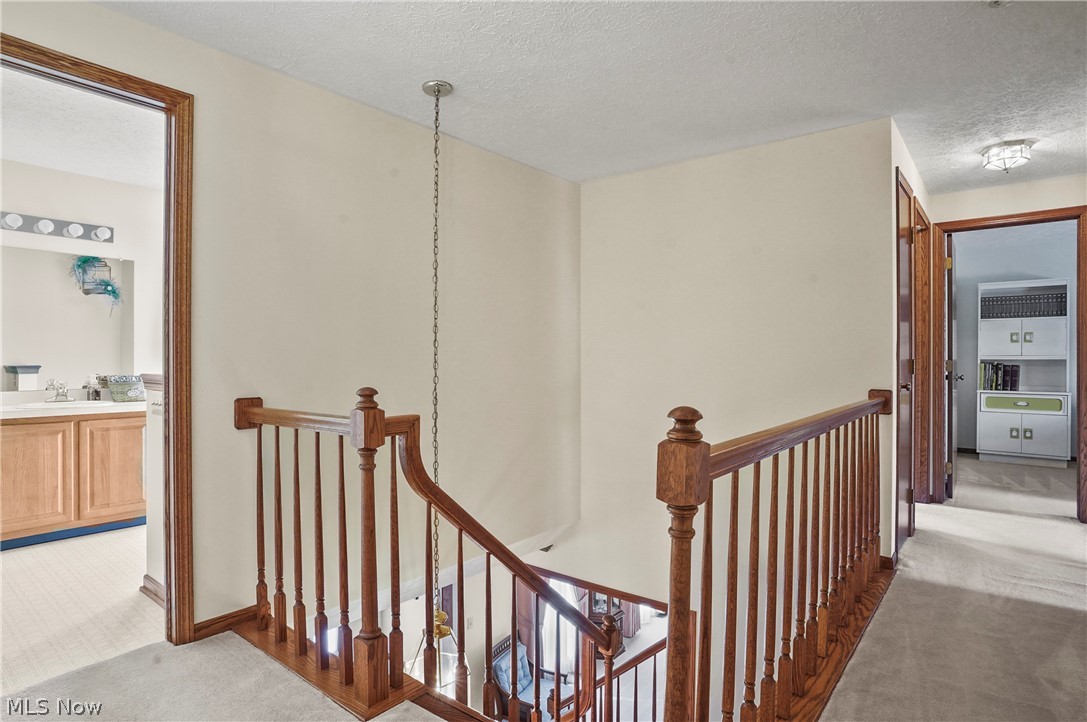 Steeplechase Allotment Sec 03 - Residential