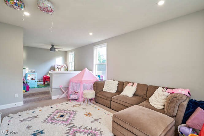 Swan Lake Subdivision - Residential Lease