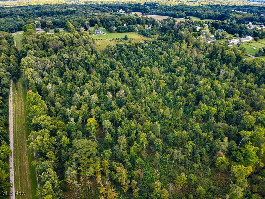 Newton Falls Road, Ravenna, Ohio image 7