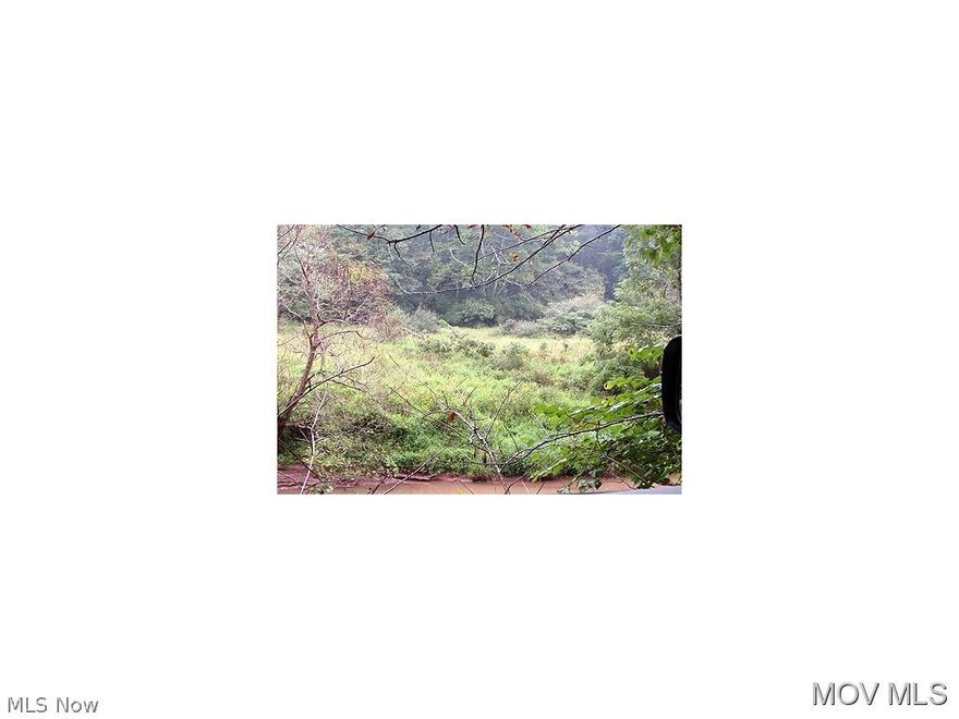 Great hunting and recreational land in Ritchie County. Could be your own private hunting club starting this fall!Over 75% wooded. Owner states hunting and fishing in the North Fork of the Hughes River.11 +/- acres in flood plain, remaining acres are not. Motivated seller.  Elem: Harrisville Elementary School  Elem/Bus: Y  JrHigh: Ritchie County Middle School  JrHigh/Bus: Y  High: Ritchie Cty. High  High/Bus: Y  Fire: VOL  Police: SHF