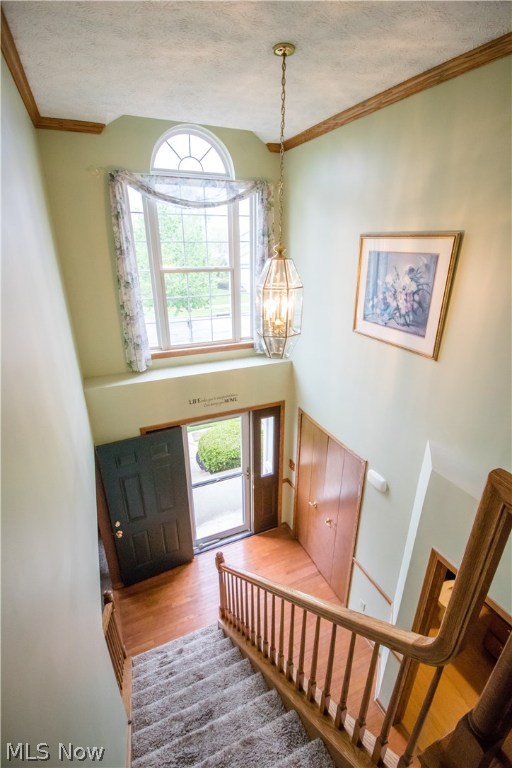 Village At Coventry Crossing - Residential