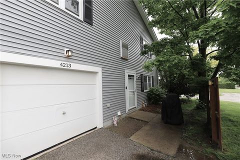 4213 Dennis Lane Brunswick OH 44212
