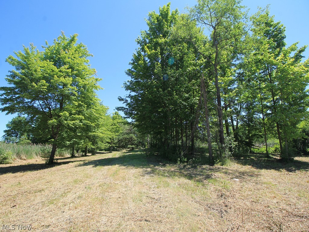 V/L Page Road, Streetsboro, Ohio image 11