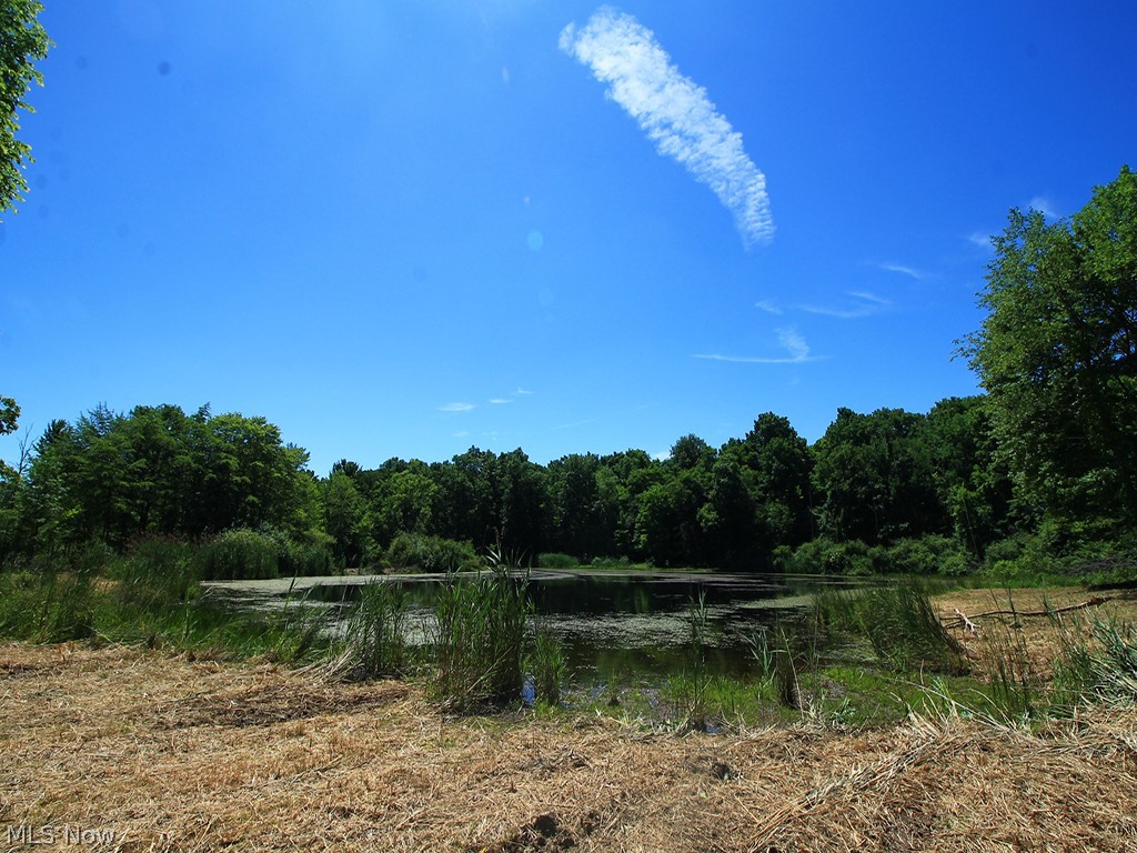 V/L Page Road, Streetsboro, Ohio image 15