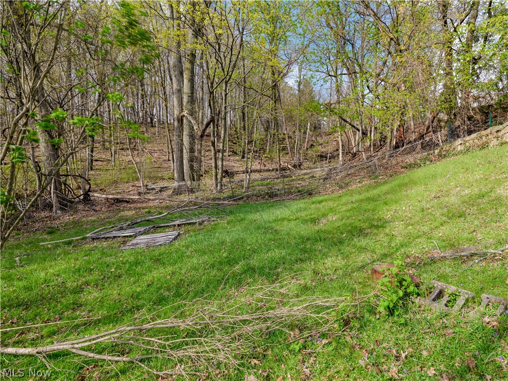 Village/Lowellville - Residential