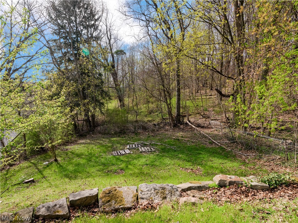 Village/Lowellville - Residential