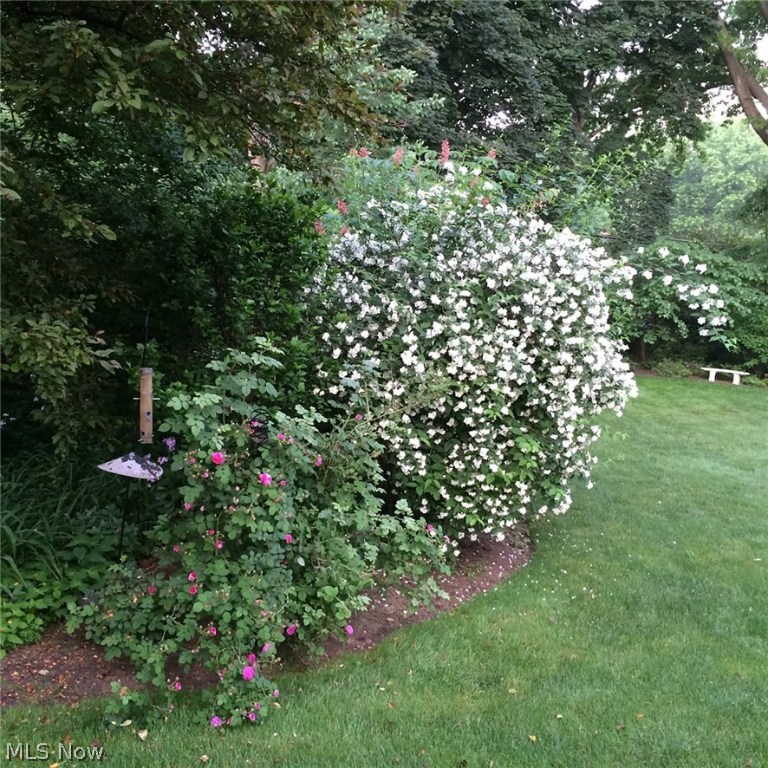 Avondale - Residential