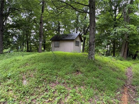 Vacant Land For Sale - 38532 Township Rd 13<br/> Monroe County, Sardis, OH 43946