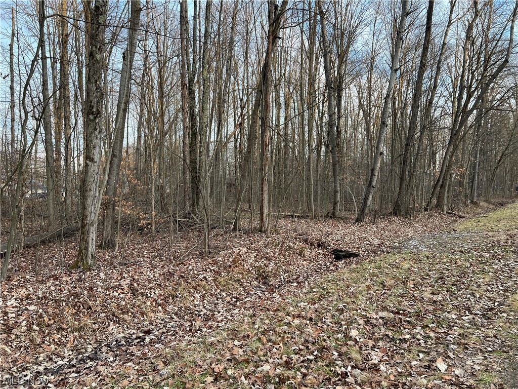 Roaming Rock Shores Sub 3 - Land