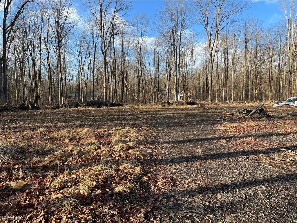 Roaming Rock Shores Sub 3 - Land