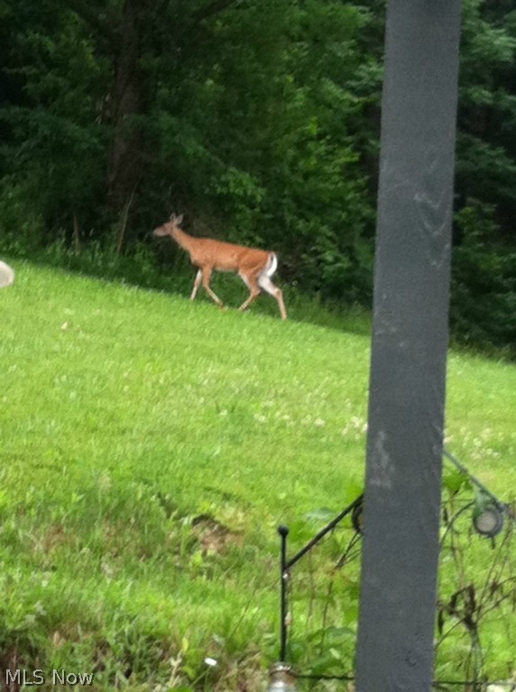 Spencer - Residential