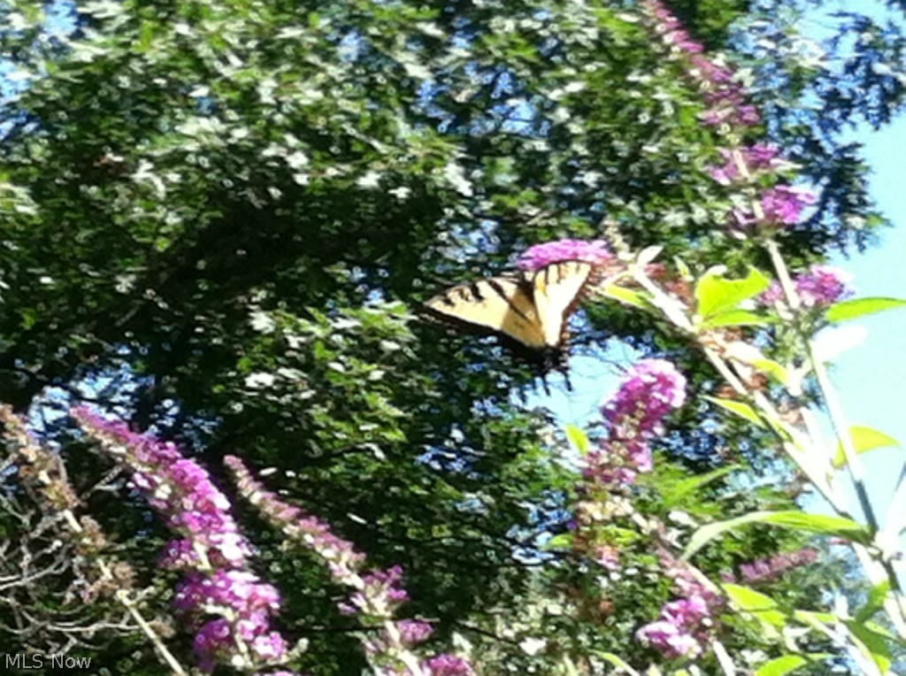 Spencer - Residential